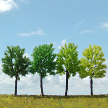 model trees